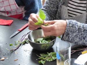 Foto van de Thaise zoete basilicum